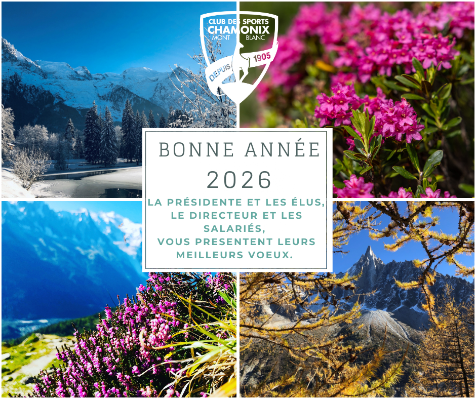 Meilleurs voeux 2026